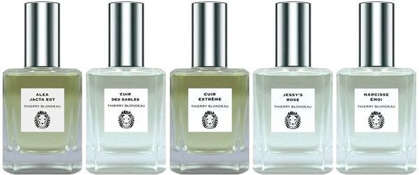 Thierry Blondeau Narcisse Emoi