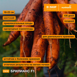 Семена моркови Брилианс F1, Nunhems, 0,5 гр.