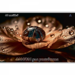 Альбом для рисования А4 40л., Alingar, на скрепке, мелованный картон (стандарт), 100 г/м2, "Цветы", 2 дизайна в пленке т/у