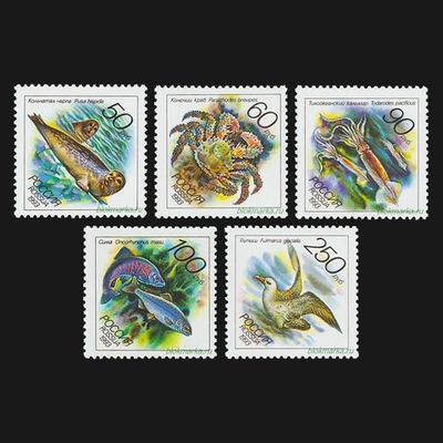 Россия 1993 г № 104-108 Серия Животные морей Тихоокеанского региона Чистая MNH **