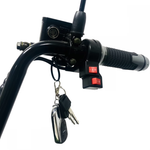 Электроскутер Citycoco GT X3 Pro Trike Mini Коричневый