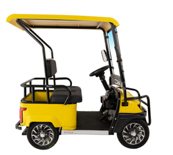 Гольфкар GreenCamel A2 ECO (2 seats 800W R8)