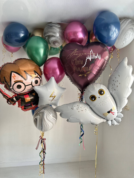 Воздушные гелиевые шары Гарри Потер/Сова №4902