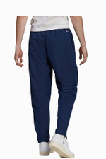 Штаны adidas Entrada 22 Presentation