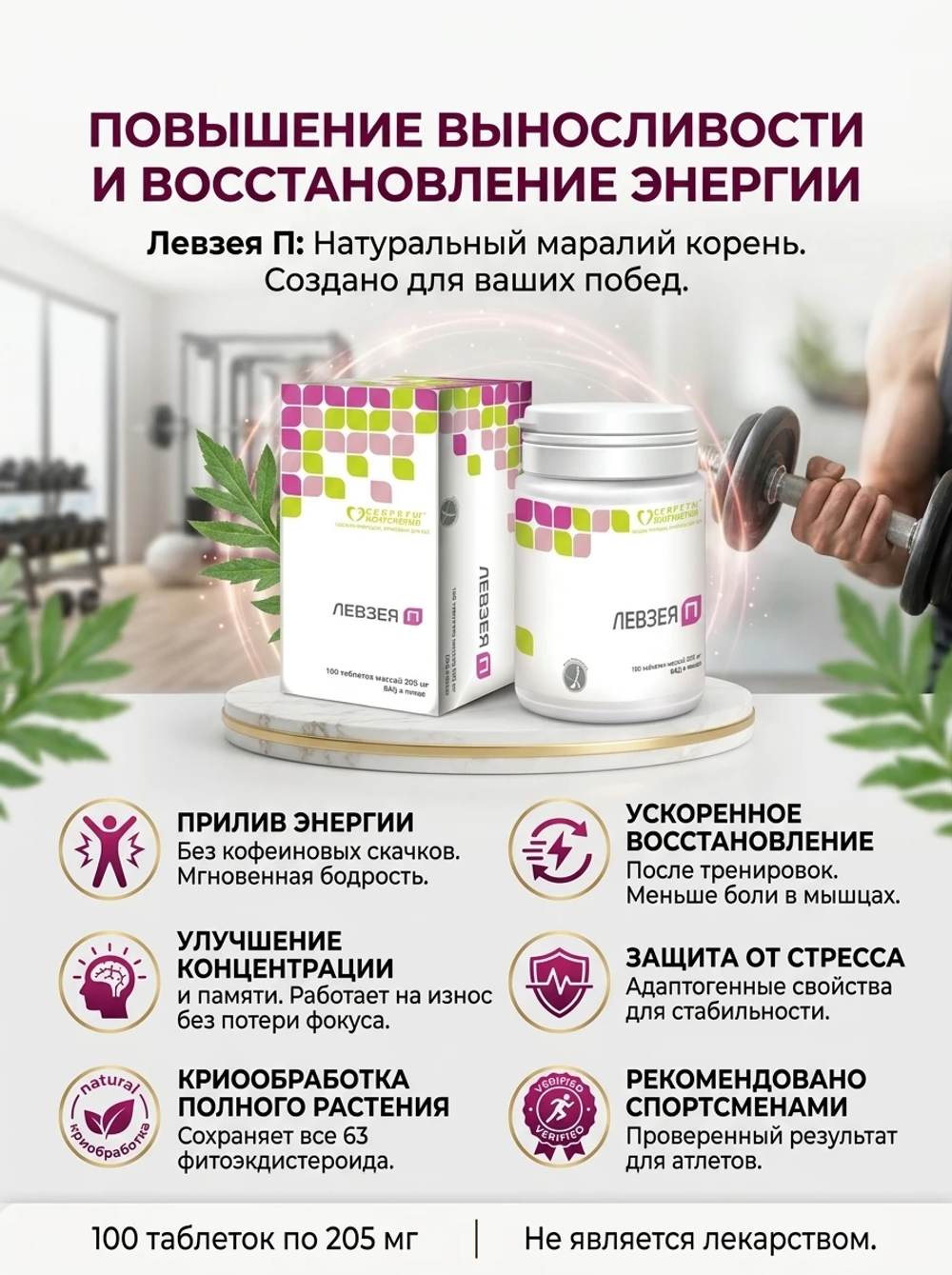 Левзея П, таб. №100