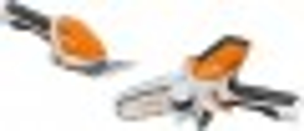 Ножницы-кусторез аккумуляторные STIHL HSA 26 + Пила цепная  аккумуляторная STIHL GTA 26 (без АКБ и ЗУ) HA030113516н