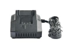 Зарядное устройство SENIX CHQX2