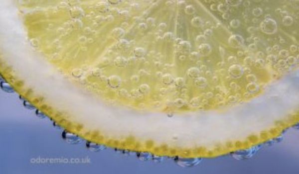 Odore Mio Wild Cologne