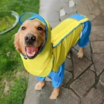 Дождевик для крупных пород собак «KOMFORT», цвет жёлто - голубой, р 5XL