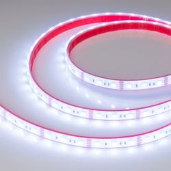 Светодиодная лента герметичная RTW-PFS-B60-13mm 12V RGB (14.4 W/m, IP68, 5060, 5m) (Arlight, -) 033790