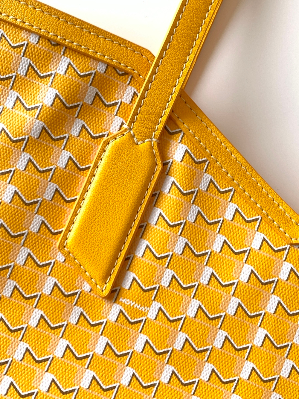 Moynat M Tote PM