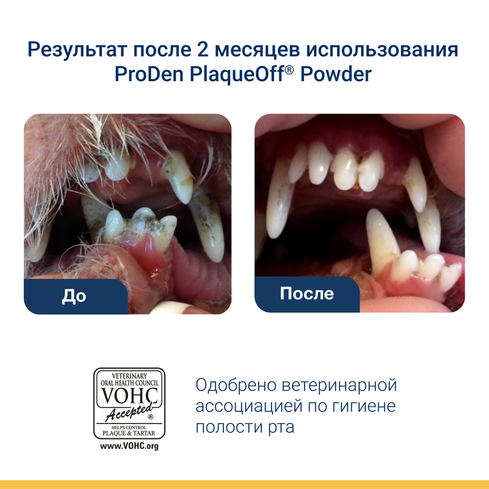 PRODEN PLAQUEOFF Средство для профилактики зубного камня у собак и кошек, 40 г