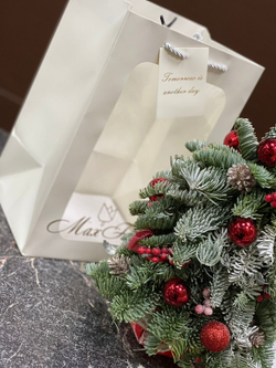 Елочка Подарок НГ-26