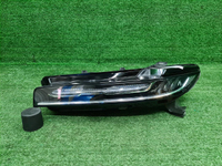 ДХО левый Hongqi E-HS9 (2020-н.в.)