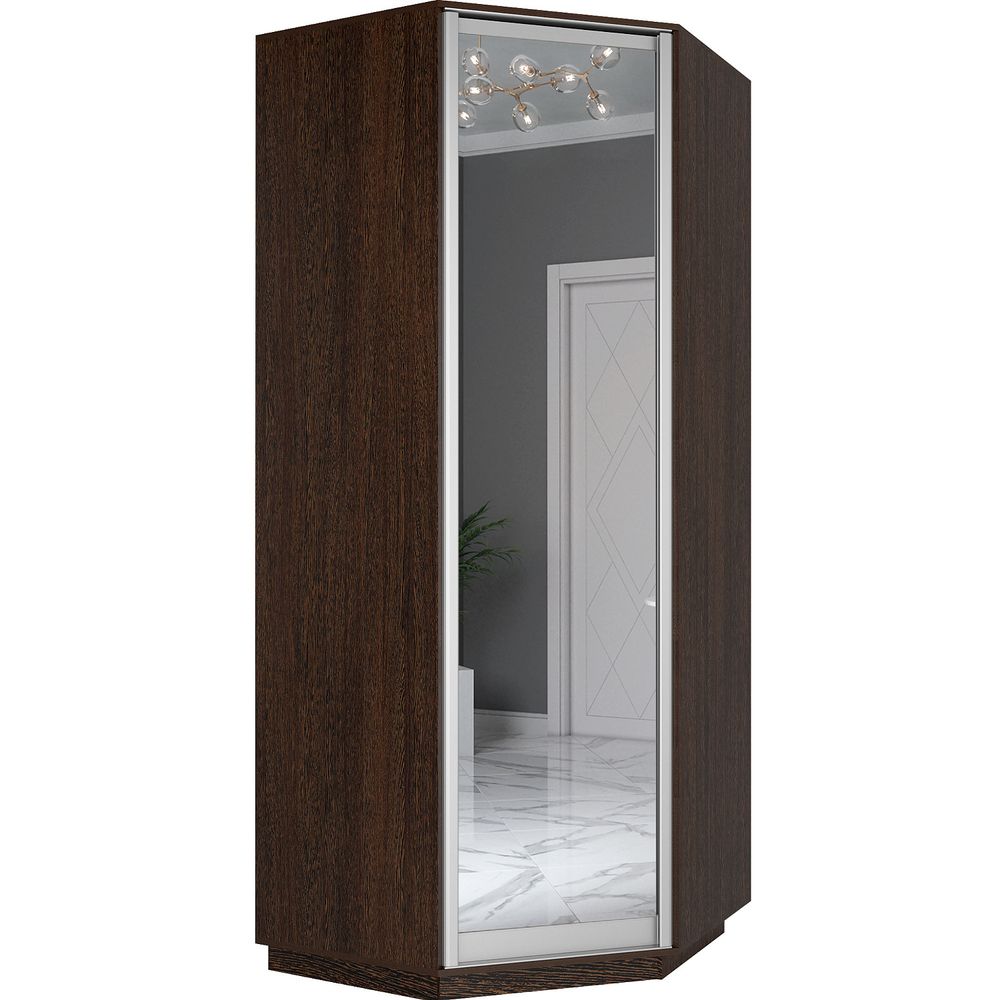 Шкаф угловой "Экспресс" с зеркалом (Венге) 2200х900х900, МК Е1, г.Белореченск