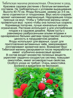 Тибетская малина розолистная малиноклубника