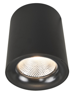 Светильник потолочный Arte Lamp Facile A5118PL-1BK