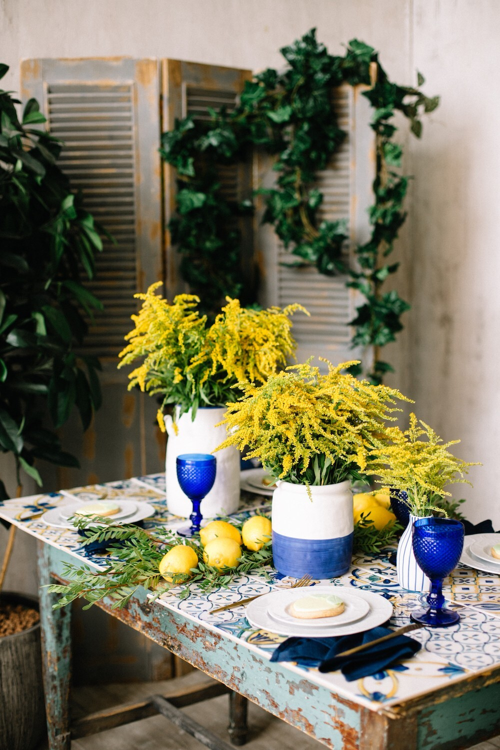 Majolica Photo Day