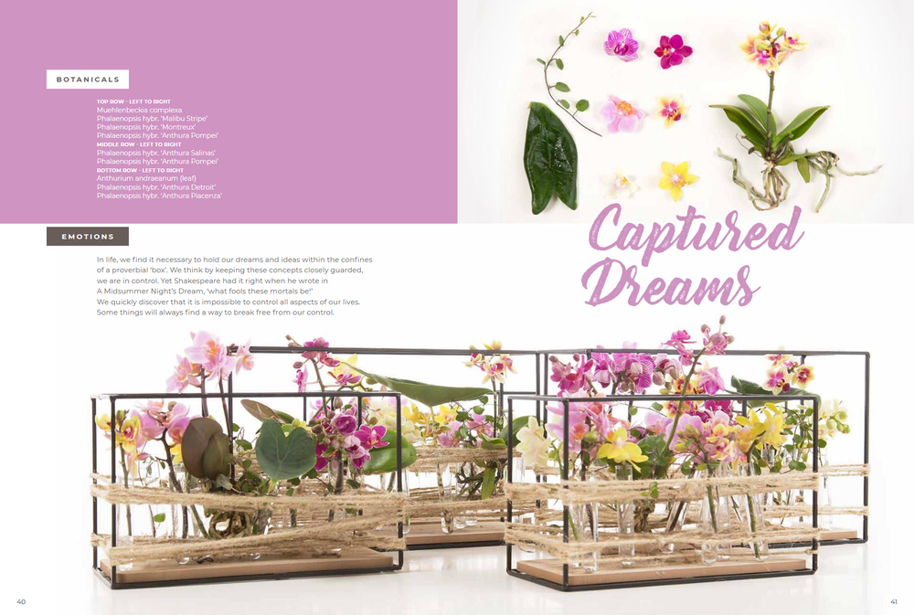 Techniques for floral beauty