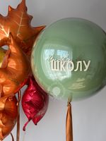 Воздушные шары Снова в школу №8746