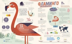 Как спит пчела? Удивительные факты о животных и их суперспособностях