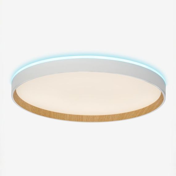 Потолочный светодиодный светильник Citilux Etalon CL750400R