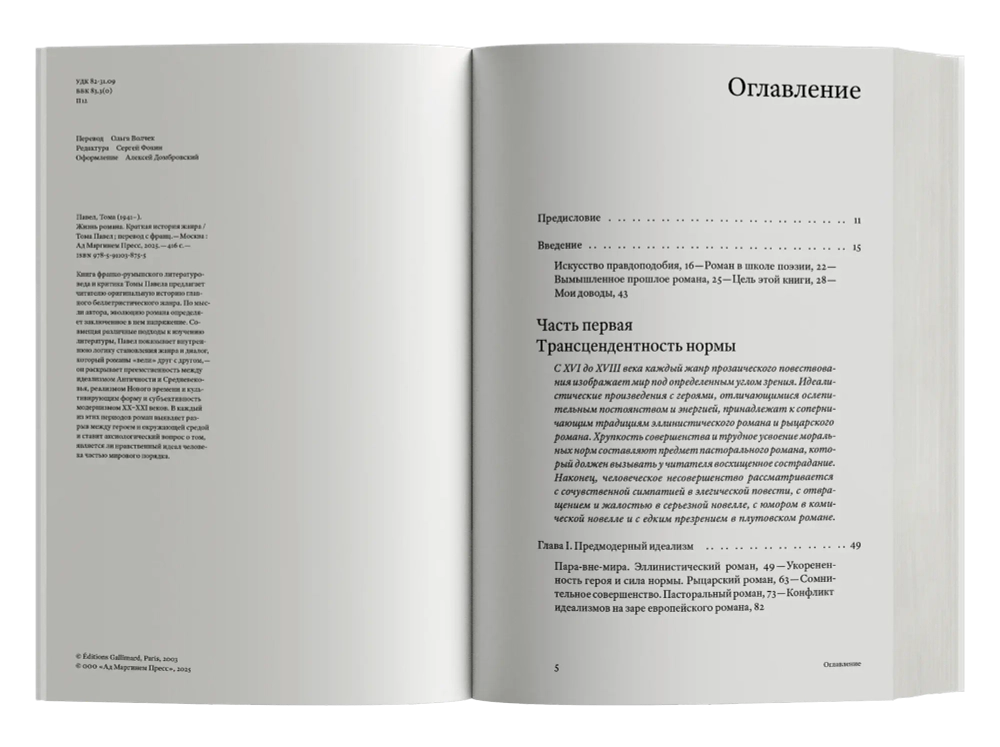 Жизнь романа: краткая история жанра