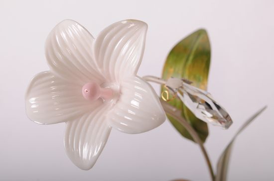 Бра Abrasax STY40032/1В