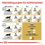 Сухой корм для кошек Royal Canin Sphynx породы Сфинкс старше 12 месяцев 400г