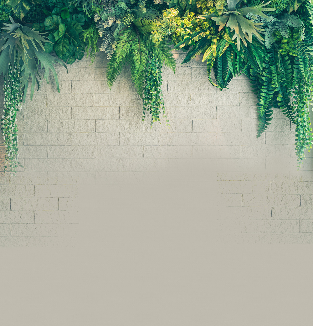 Коллекция GREENDAY