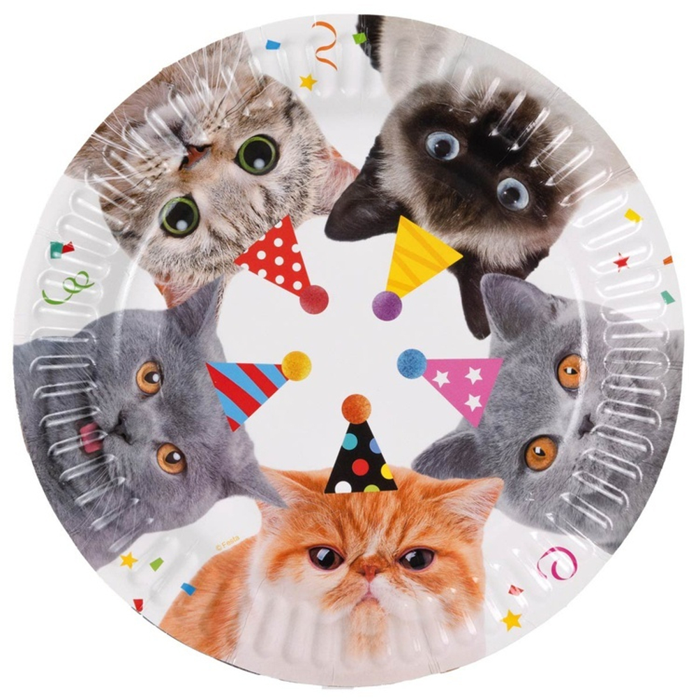 Тарелки бумажные «Котики» фотографичные, 17 см / 23 см, 6 шт