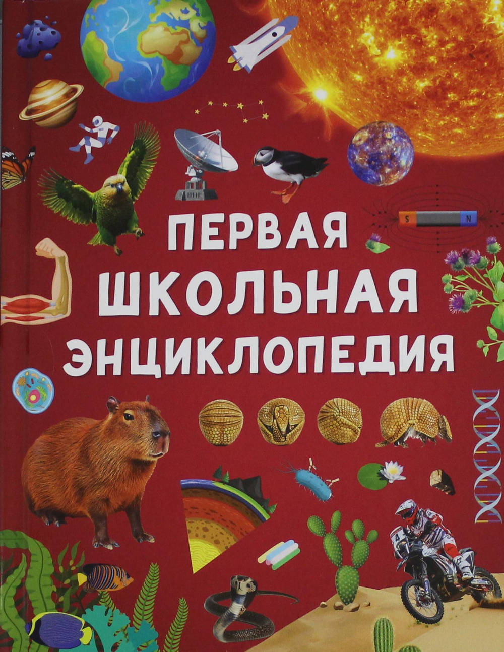 Первая школьная энциклопедия