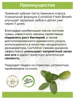 Тайская vip паста Свежее дыхание.