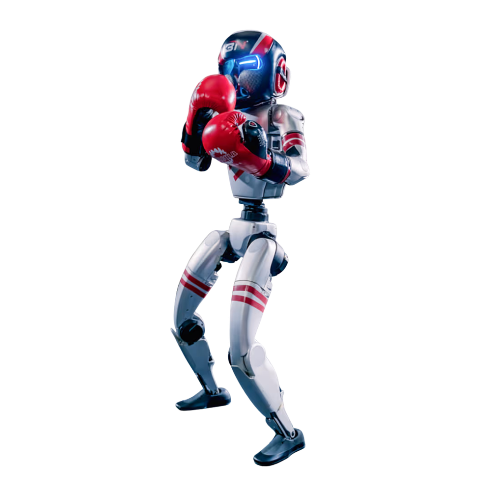 Unitree G1 Boxing