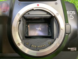 Canon EOS 5