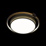 10169 Потолочный светильник LOFT IT Mike