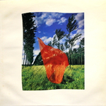 Pink Floyd / Wish You Were Here (LP)