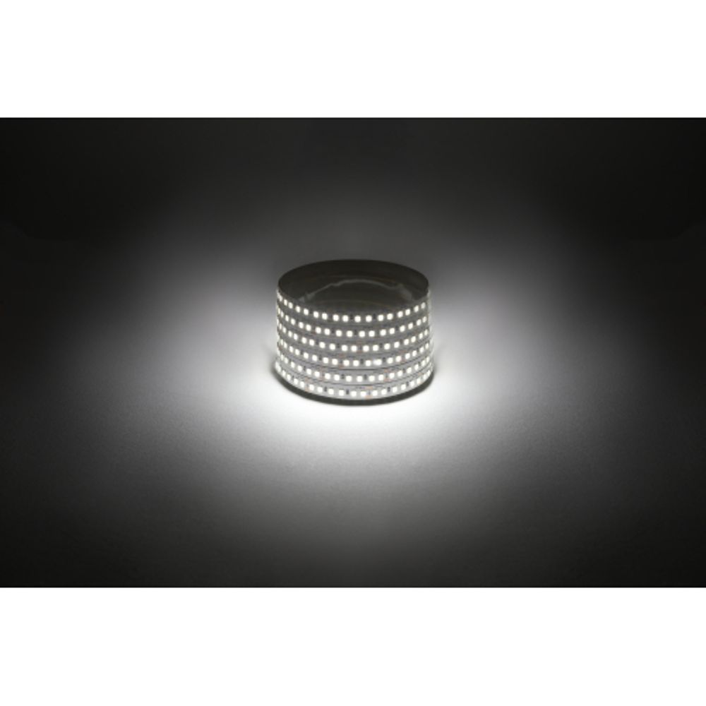 Светодиодная лента ЭРА LS2835-14,4-180-12-4000K-IP20-1 year-5m дневной белый 1 год