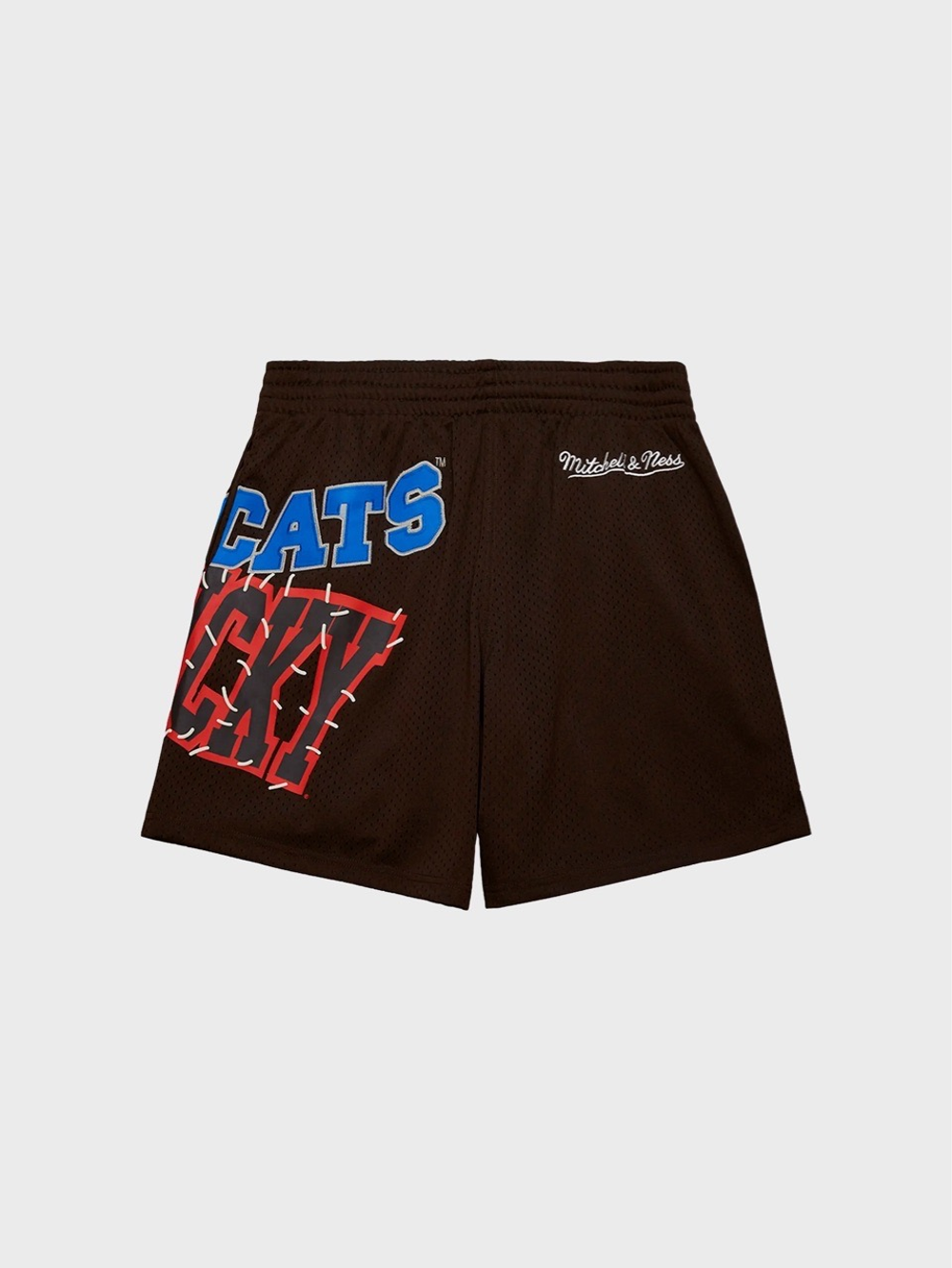 Шорты Cactus Jack Travis Scott x Mitchell & Ness University Of Kentucky Basketball Brown