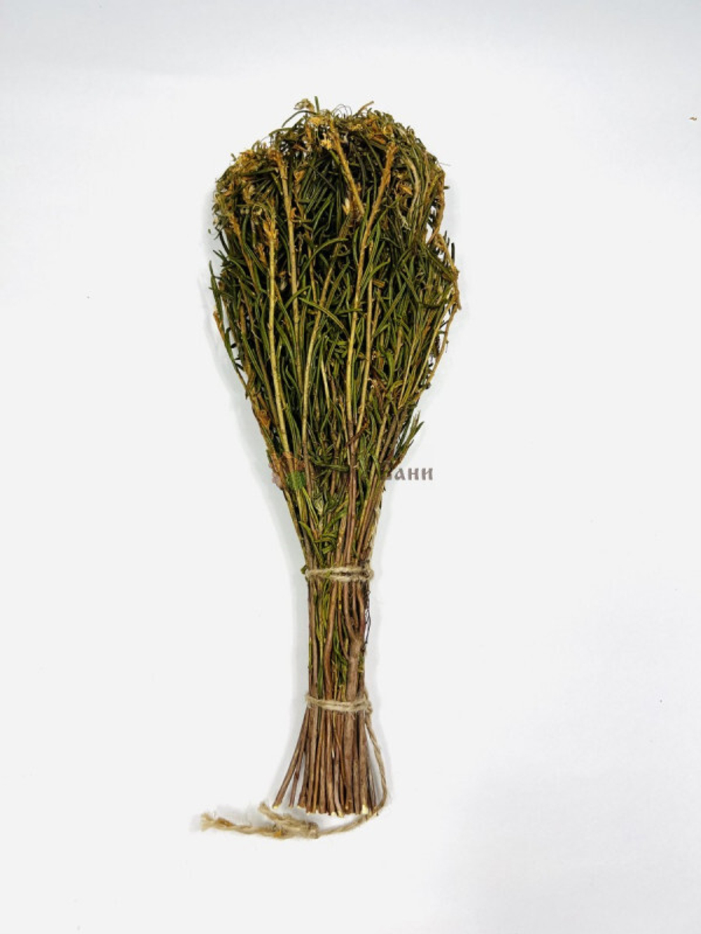 img_30-11_E_017.jpg img_30-11_E_017.jpg