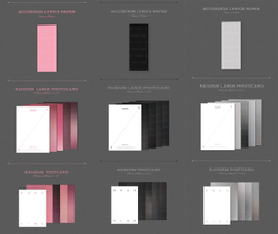 Альбом BLACKPINK - [BORN PINK] BOX SET ver.