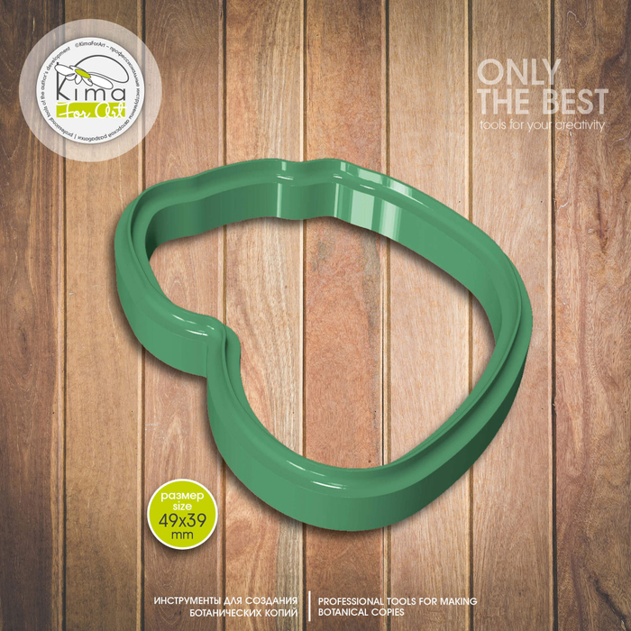 Эвкалипт сизый лист большой