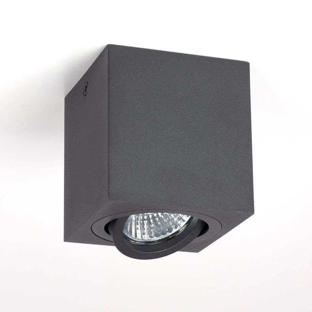 Citilux Дюрен CL538213 Светильник накладной поворотный Чёрный