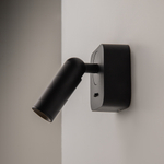 Настенный светильник (бра) Maytoni C039WL-L3B3K