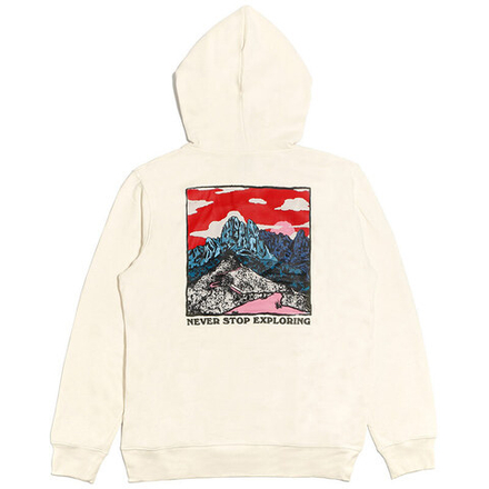 Худи THE NORTH FACE, NF0A7UO5-HJV