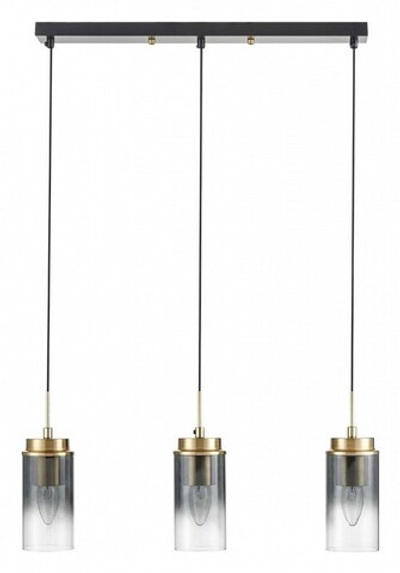Подвесной светильник Lumion Isha 8101/3A
