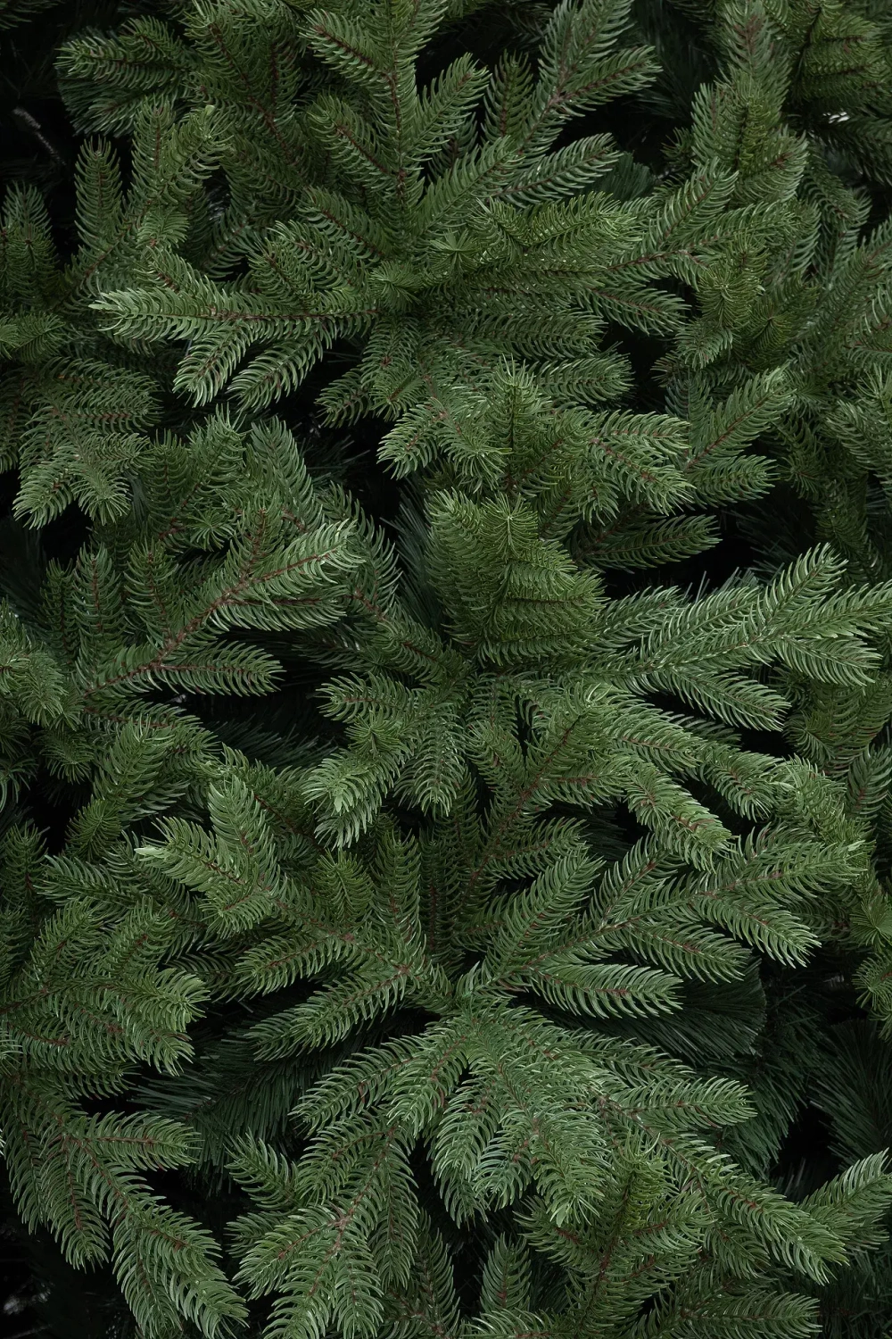 Искусственная ель Адмиралтейская 5 м., Литая хвоя + ПВХ, ЕлкиТорг (200500)