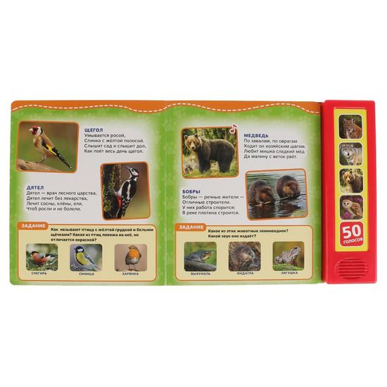 Говорящая энциклопедия. Лесные животные Степанов В.А. (5 кн. 50 звуков) 200х175мм 10стр Умка