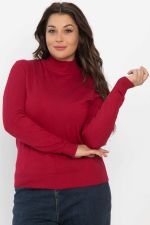 Водолазка Осенняя история (красная) Б14541-20М LT Collection