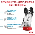 Корм Royal Canin X-Small Puppy для щенков до 10 месяцев 0.5кг